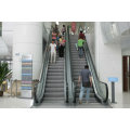 Home escalator price for shopping mall